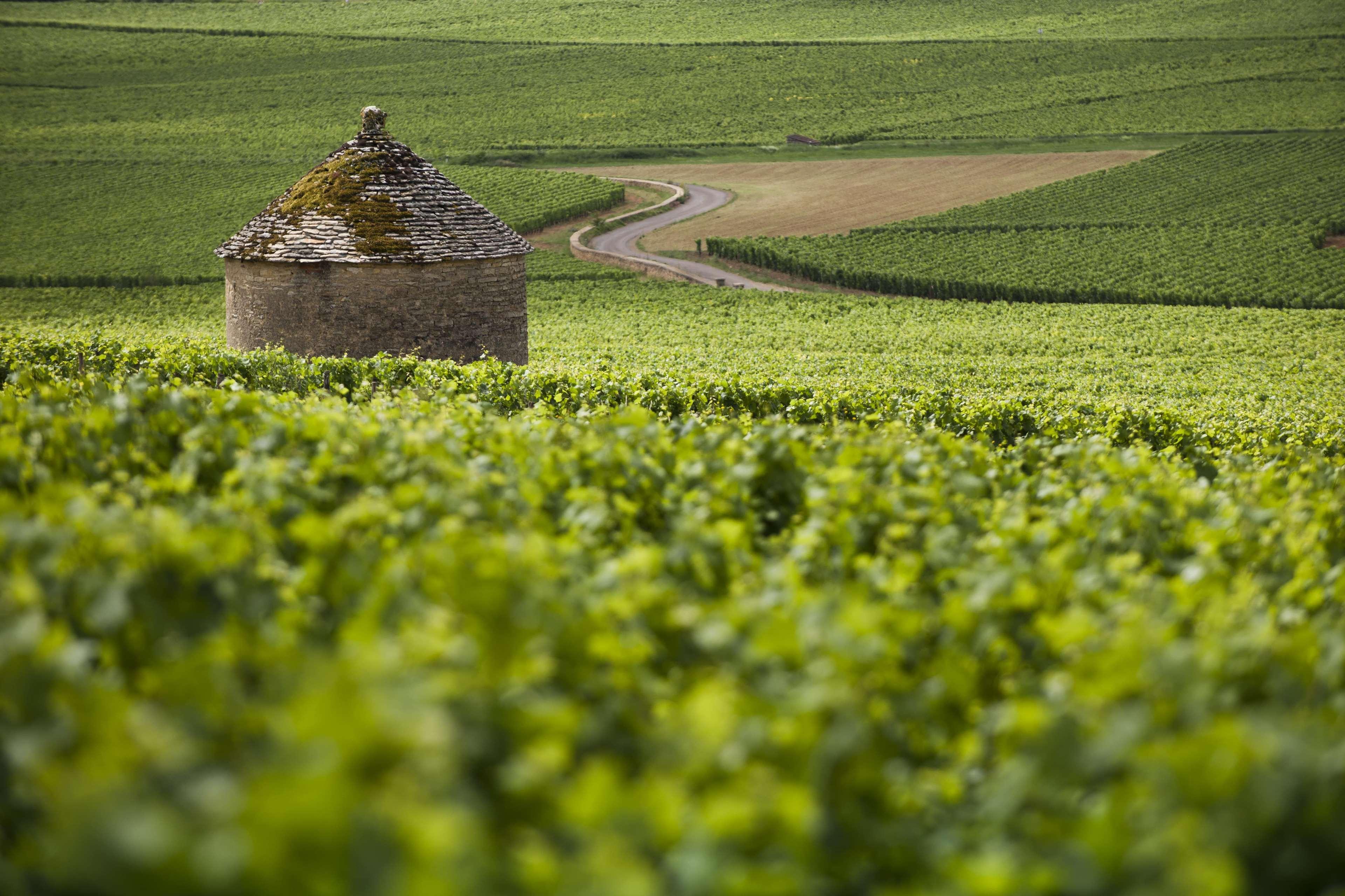 Kyriad Beaune Beaune  Exteriér fotografie
